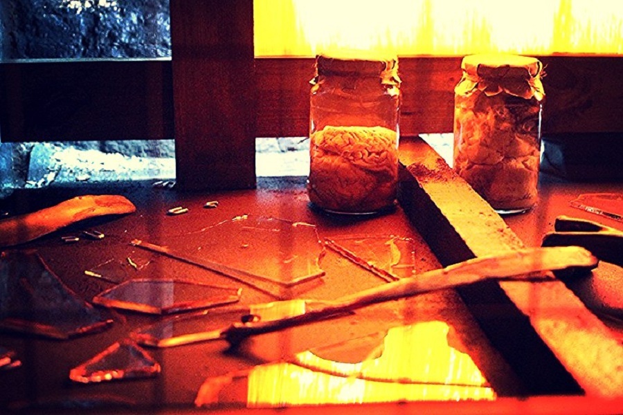 Квест в реальности Зверь от компании Lobotomy Квест в реальности Зверь от компании Lobotomy