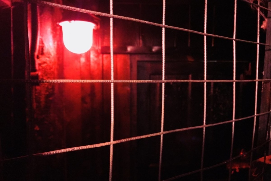 Квест в реальности Подземелье от компании Lobotomy Квест в реальности Подземелье от компании Lobotomy