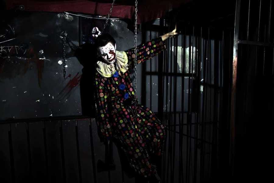 Квест в реальности Цирк от компании Play Room Квест в реальности Цирк от компании Play Room